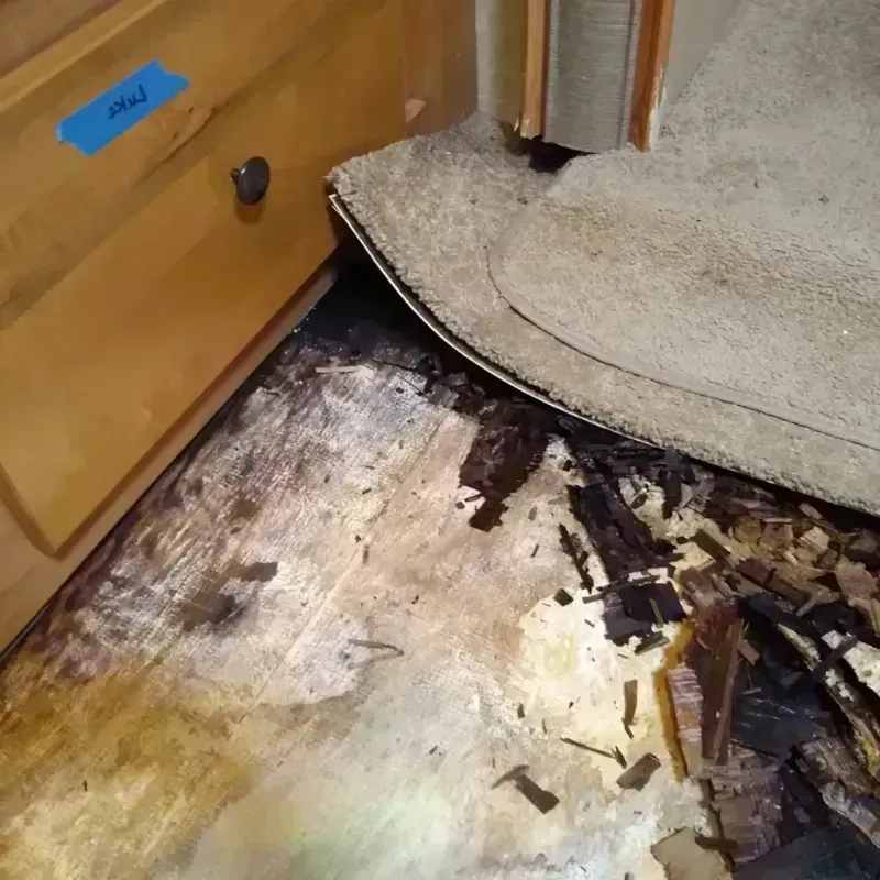 Wood Floor Water Damage in Surfside Beach, SC